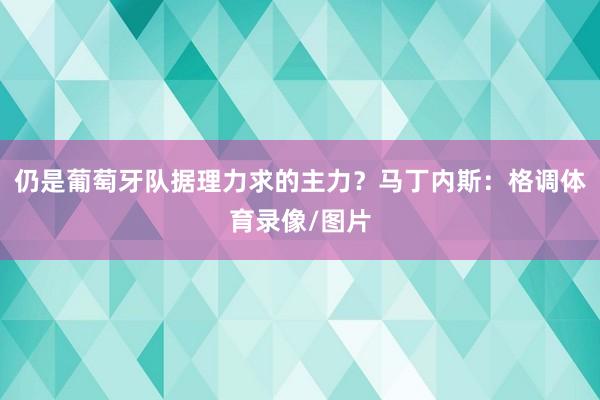 仍是葡萄牙队据理力求的主力?马丁内斯:格调体育录像/图片